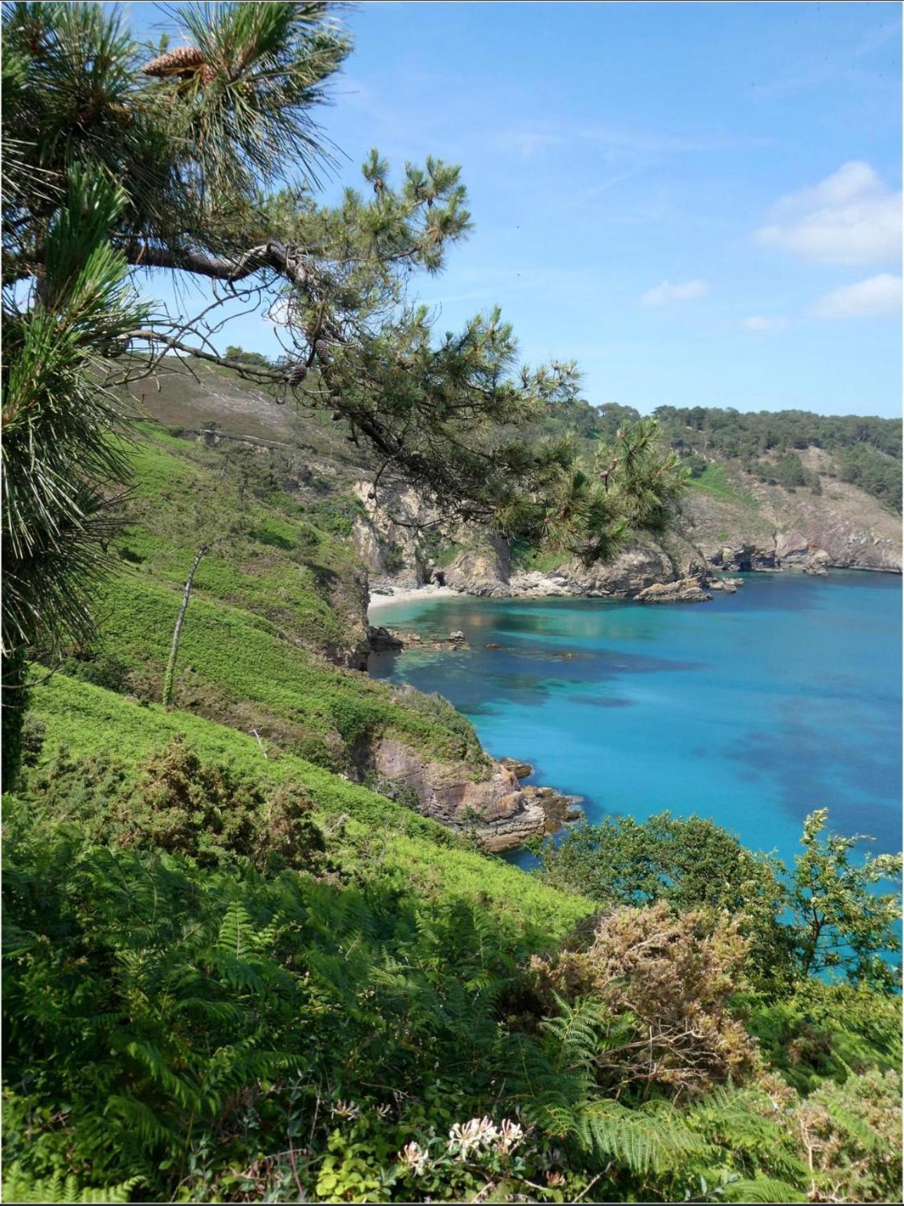 Maison Residence Odalys A Morgat En Bretagne Sur La Presqu'Ile De Crozon Situee A 800 M De La Mer Piscine Chauffee Travaux Piscine Debut Du 1 Er Juin Au 15 Juin 2025 Εξωτερικό φωτογραφία